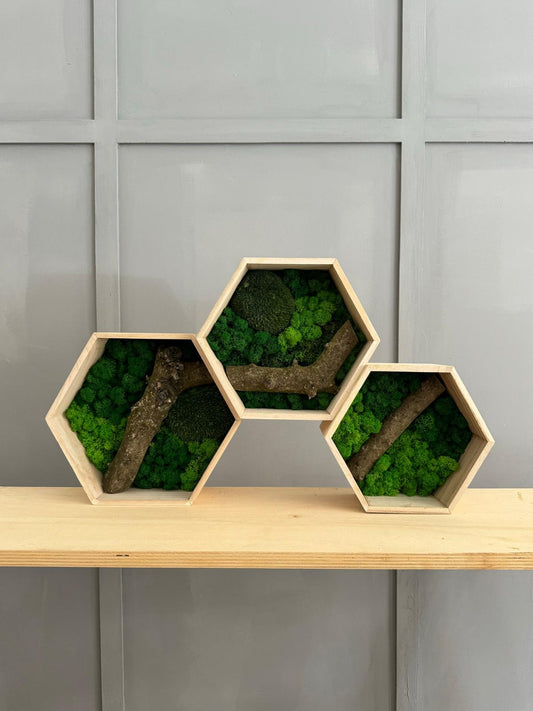 Hexagonal