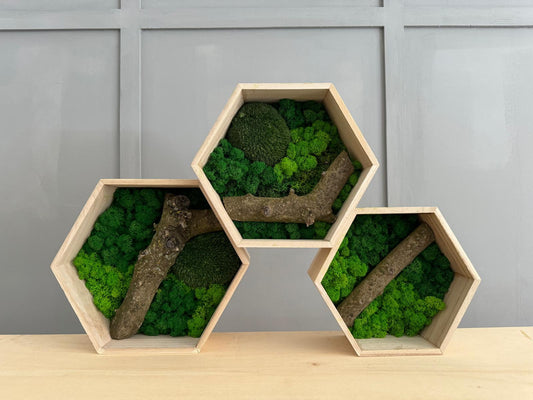 Hexagonal